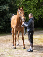 DM240425-37 - Maximilian